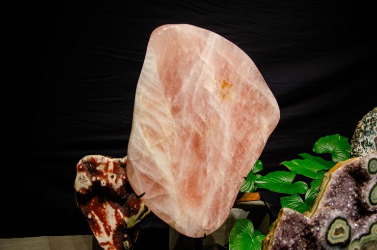 Polished pink rose quartz against a black background