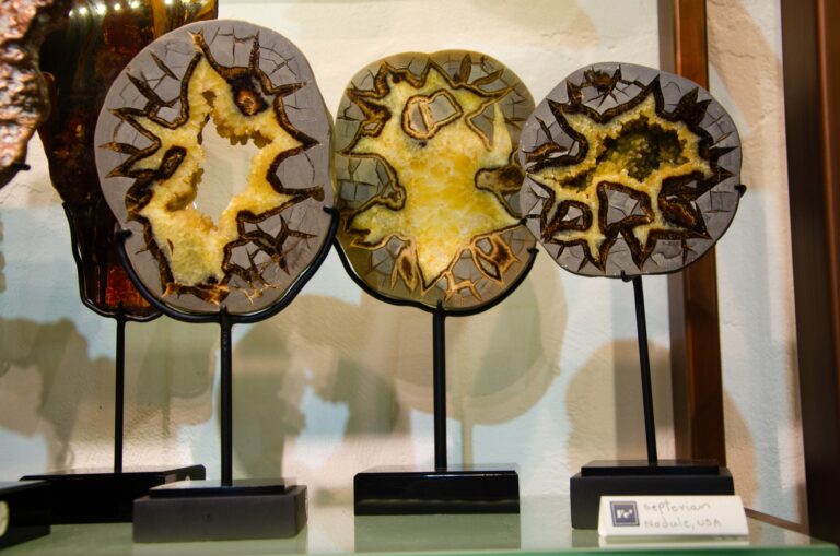 Three polished mineral slices on black stands